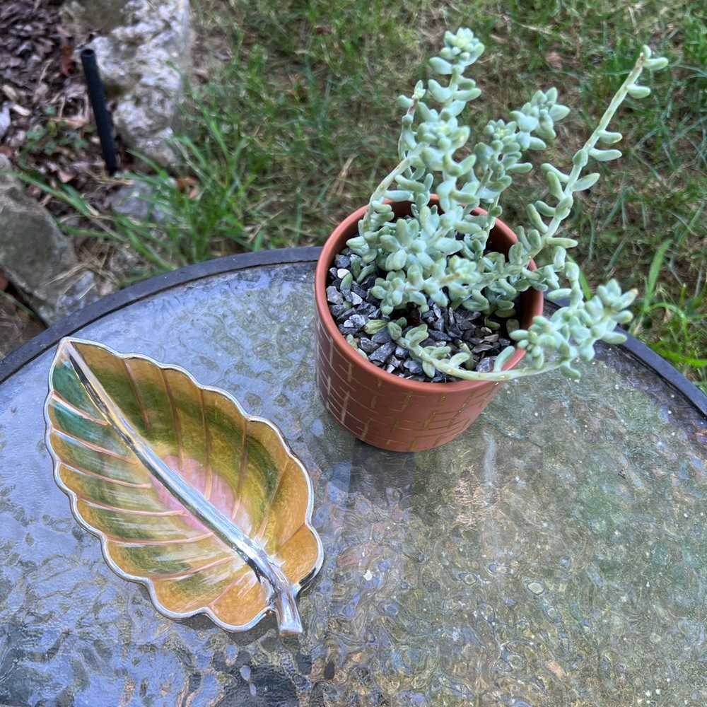 Stunning leaf shaped resin ring or jewelry, trinket dish.